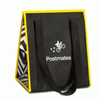 non laminated cooler bag2